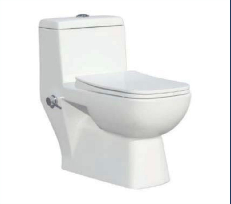 توالت فرنگی مدل ساترون گاتریا خروجی ده قابل نصب خود شور